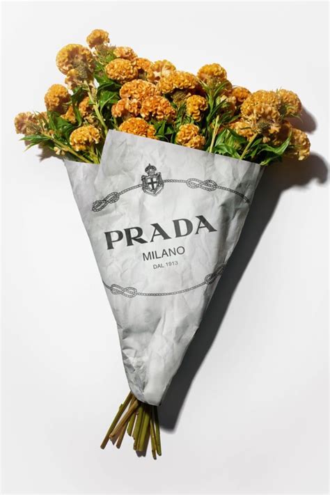 prada flower paper